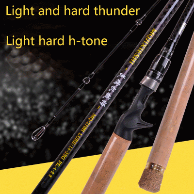Light Weight Two Section Sea Telescopic Fishing Rod Tool Gear Carbon Fiber Good Price photo-2