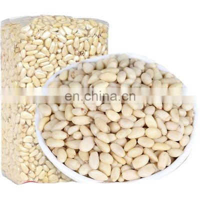 Byloo group low moq 250 500 gram bag packing premium quality pine nuts for online shop trade Amazon