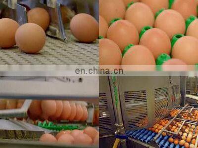 Egg Production Line/ Egg Washing Cleaning Drying Printing Grading Production Line photo-4