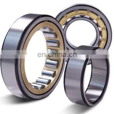 NJ 202 203 204 205 EM Cylindrical Roller Bearing for Reducer and Air Compressor photo-3