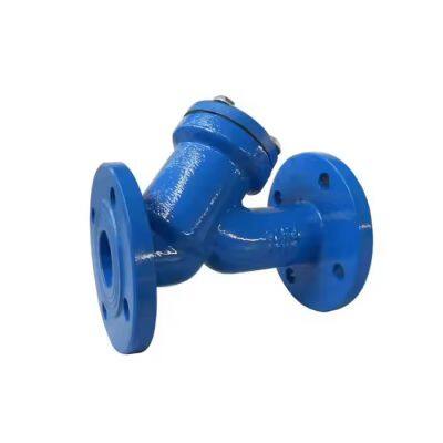 Ductile Cast Iron water Y Type strainer Filter with Blue Epoxy