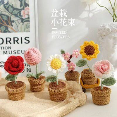 crochet flowers and plant pots