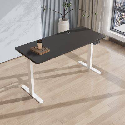 Computer Gaming Desk Metal Base Laptop Electric Adjustable Standing Desk Student Table Factory Price