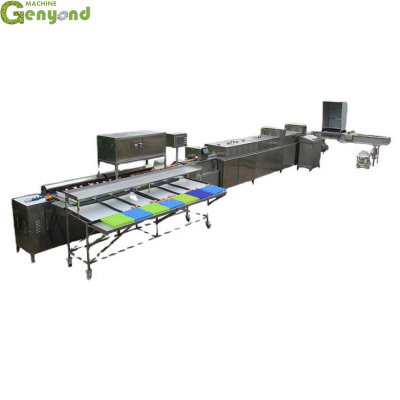 Shanghai Factory Eggs Washing and Dry Machine Egg Shape Wash Basin Zenyer Egg Wash Machine