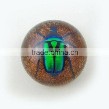 2016 Latest Design Meaningful Paperweight for Promotion Gift With Real Insect photo-1