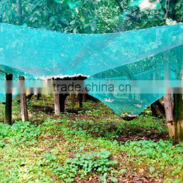 agriculture olive net, green olive harvest/collecting net