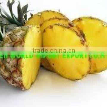 FRESH PINEAPPLE - GOOD TASTY - HIGH QUALITY