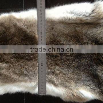 Factory Direct Supply Natural Brown Color Cheap Rabbit Skin photo-2