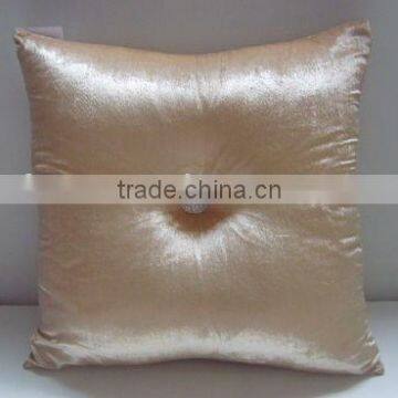Silk velvet Cushion