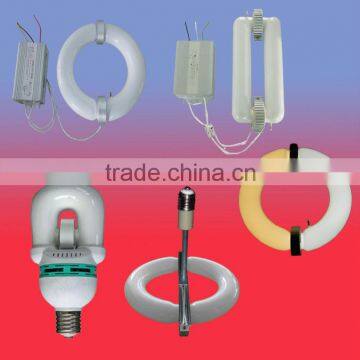 Steady Quality Induction Wall Lamp for Restaurant Lighting photo-5