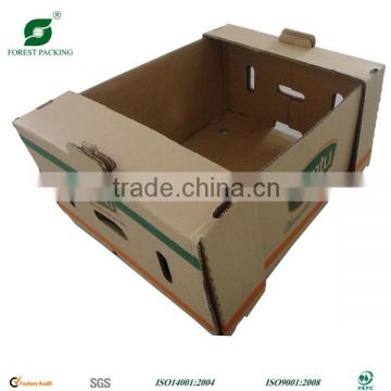 VEGETABLE & FRUIT CORRUGATED CARTON