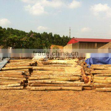 Finger Joint Board photo-3