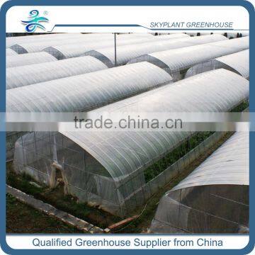 Large Tunnel Plastic Agricultural Greenhouse for Green Vegetables