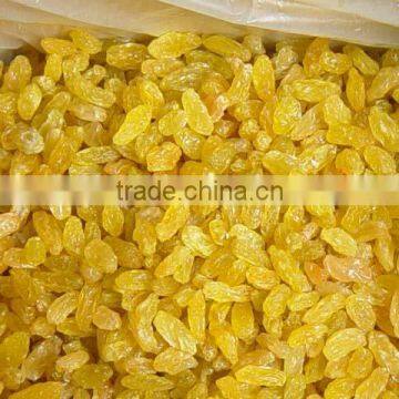 Dried Golden Raisins Yellow Raisins