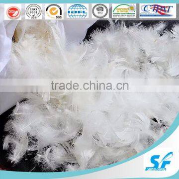 Duvet and Pillow Filling material Washed White Goose Feather 2-4cm