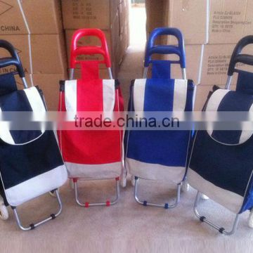 Fashionable Reusable Shopping Trolley Bags