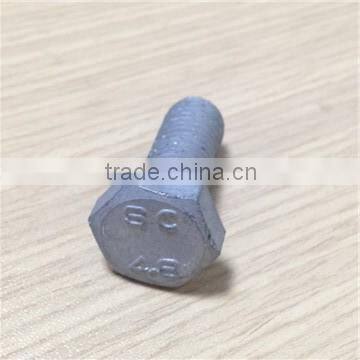 High Quality Hot Dip Galvanized Bolt photo-3