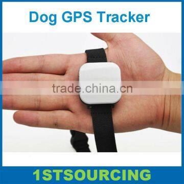small gps tracker for dogs