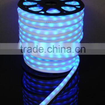 Indoor Outdoor 110v 220V Smd5050 LED Neon Rope Light Flex led neon lights