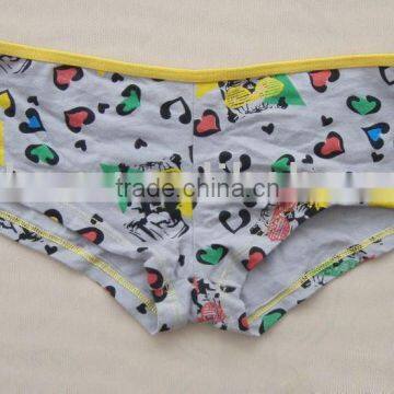 Briefs & Cartoon Briefs