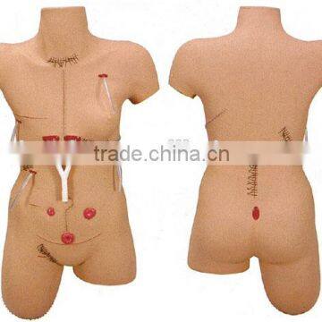 Surgical Suture and Bandage Model