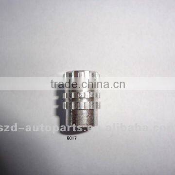 GC17 Auto Tire Valve Caps