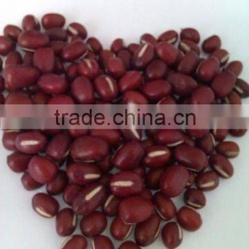 China Small Red Beans/adzuki bean( Heilongjiang origin, New crop,hps)