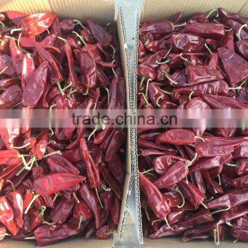Dried Chilli photo-4
