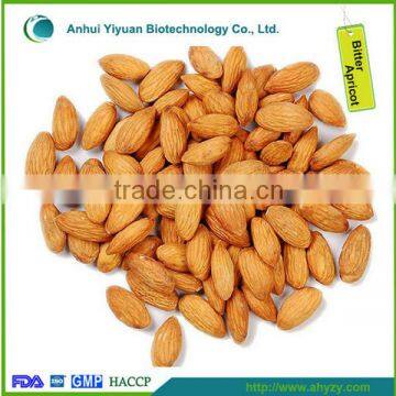 2016 new bitter apricot kernel for sale(Ku xing ren)