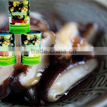 Good quality canned shiitake mushroom whole with new crop