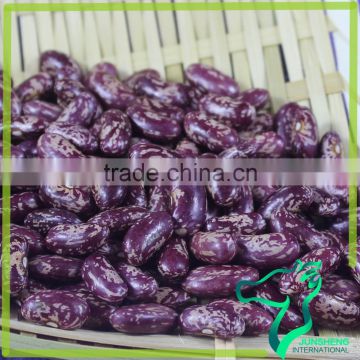 Wholesale Dried Purple Speckled Kidney Beans With Best Quality