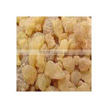 No. 1 Quality of Olibanum Oil / Olibanum Essential Oil / Bulk Olibanum Oil