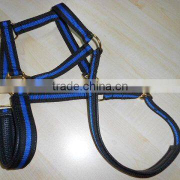 NL1302 horse standard leather padded halter