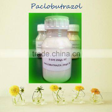 Good Price of Liquid State Plant Growth Regulator Paclobutrazol 25% SC, 15% WP, 95% TC for Plant Growth Regulator (CAS76738-62)