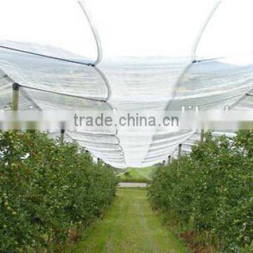 Apple Tree Anti hail Net