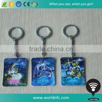 Hot Sale NDEF Format Ntag203 NFC Key Chain for Constellation photo-4