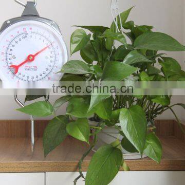 China Manufacturer Mechanical Weighing Scale /Mechanical Spring Scale