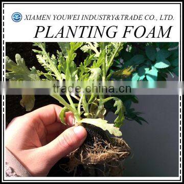 Health Soilless Culture Of Greenhouse Vegetables Planting Foam