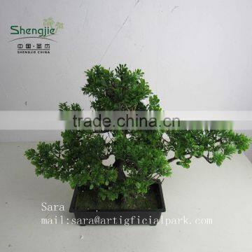 Indoor Bonsai,potted Evergreen Foliage, Decorative Landscape photo-4