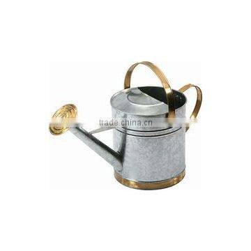 5L High Quality Garden Decoration/ Zinc Flower Planter Pot & Watering Can/ Brass Rosette photo-2