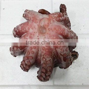 Frozen Gutted Octopus photo-2