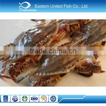 IQF wholesale health new landing crab