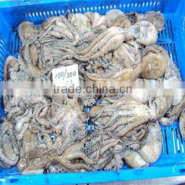 quality frozen fresh baby octopus