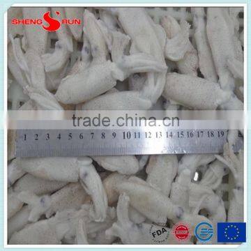 IQF Frozen Baby Loligo Squid photo-2