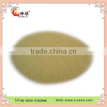 Fermentation Instant Yeast for Bread photo-2