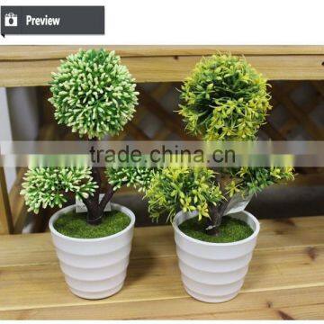 New Design Potted Plant for House Design New Product on China Market photo-3