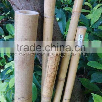 Thick Wall Strong Tonkin Bamboo Canes Manufacturer photo-2