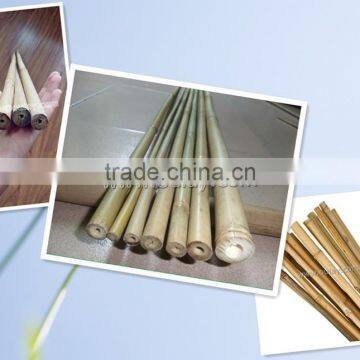 Thick walled cheap tonkin bamboo poles wholesale for plants