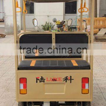 DC Motor Butterfly Model Battery Auto-Rickshaw photo-3
