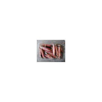 Sell Whole Round Squid